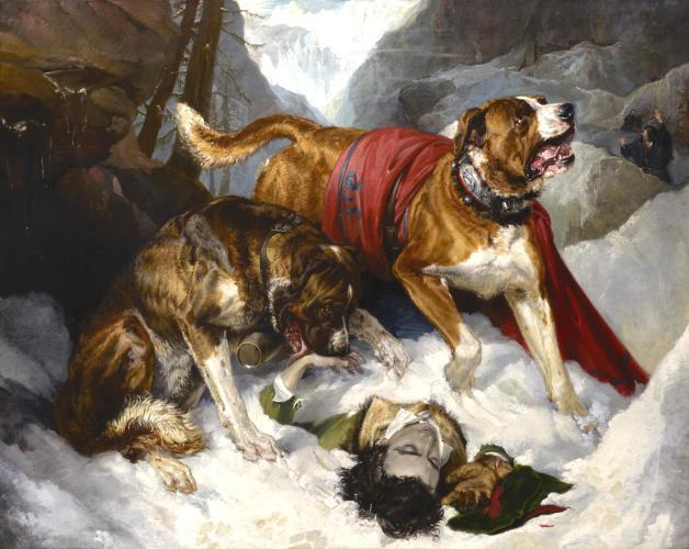 Alpine Mastiffs Reanimating a Distressed Traveller